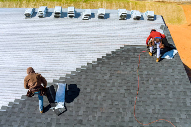Best Metal Roofing Contractor  in Trenton, TN