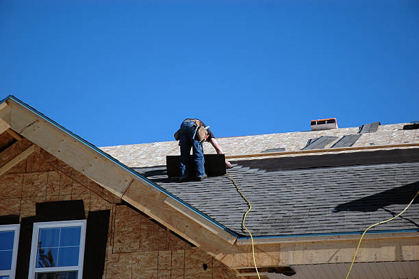 Roof Gutter Cleaning in Trenton, TN