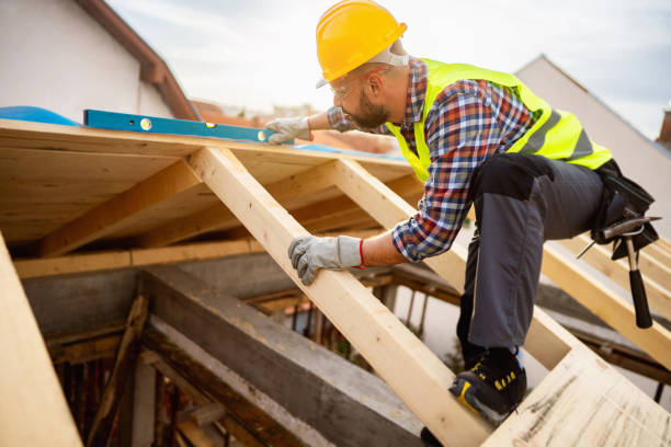 Best Gutter Installation and Roofing  in Trenton, TN