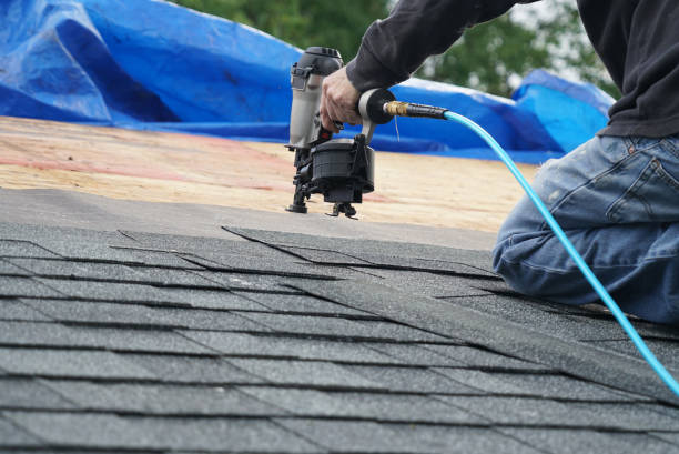 Best Gutter Installation and Roofing  in Trenton, TN