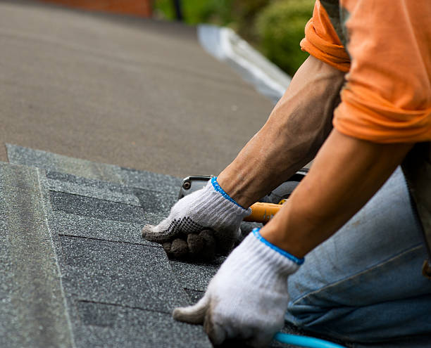 Best Commercial Roofing Services  in Trenton, TN