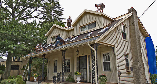 Best Residential Roof Replacement  in Trenton, TN