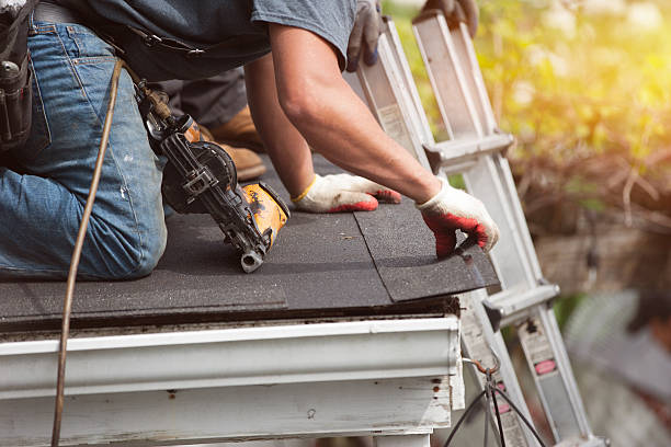 Best Roof Gutter Cleaning  in Trenton, TN